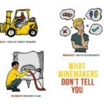 The Hidden Science Behind Every Bottle of Wine