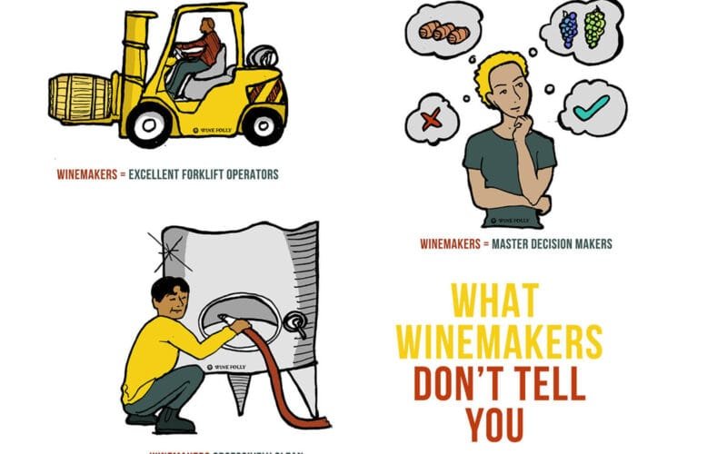 The Hidden Science Behind Every Bottle of Wine