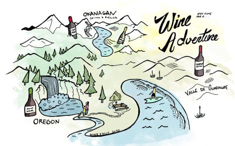 Wine and Wild Where Nature Meets the Glass