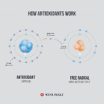 Wines Antioxidant Power Beyond the Glass
