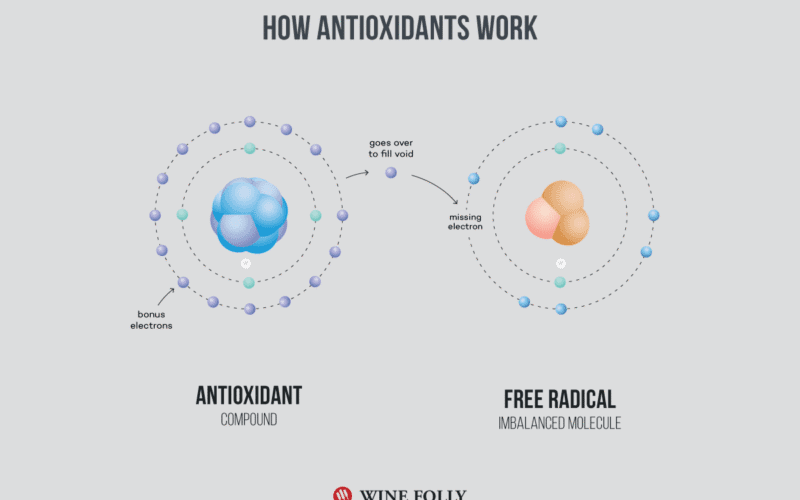 Wines Antioxidant Power Beyond the Glass