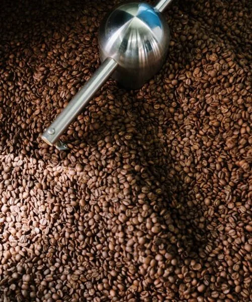 The Good Food Awards Coffee Finalists: A Spotlight on Origin and Innovation