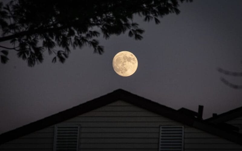 A Vintage Puerhs Quiet Awakening