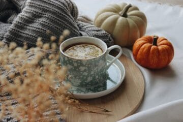 A Rubyland Poet Puerh Review: Autumn 2023’s Flavorful Escape