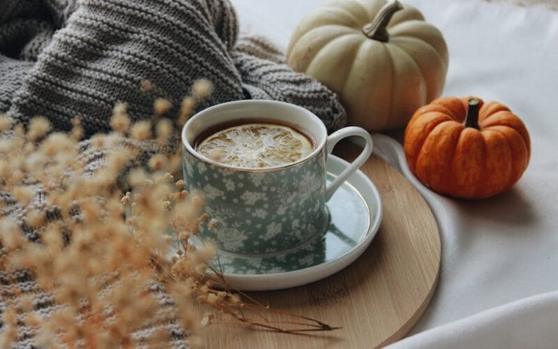 A Rubyland Poet Puerh Review Autumn 2023s Flavorful Escape