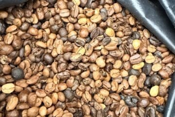 The Premium Coffee Mirage in Coffee-Producing Countries