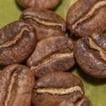 The Cold Brew Bean Conundrum Finding Your Perfect Match