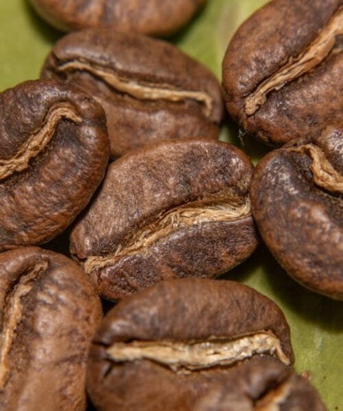 The Cold Brew Bean Conundrum: Finding Your Perfect Match