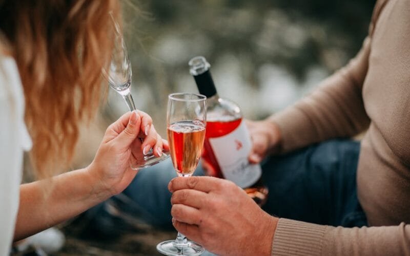 Raise a Glass Locally Northern Illinois Wineries to Explore on National Drink Wine Day