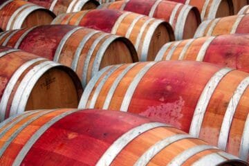 The Enduring Legacy of Rhône Winemaking: A Testament to Tradition and Innovation