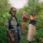 Where Coffee Meets Community in Rural Wisconsin