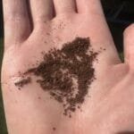 Why Your Baratza Encore ESPs Grinds Are Getting CoarserAnd How to Fix It