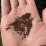 Why Your Baratza Encore ESPs Grinds Are Getting CoarserAnd How to Fix It