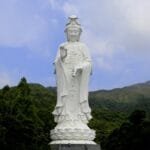 A Lunar Snake Year Commemorative The Dayi 2025 Raw Puer Experience