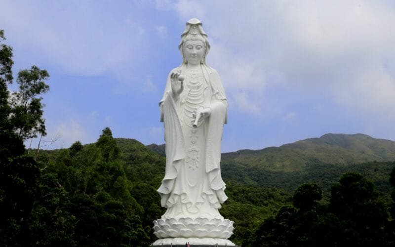 A Lunar Snake Year Commemorative The Dayi 2025 Raw Puer Experience