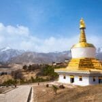 A Lunar Snake Year Commemorative Raw Puer Dayi 2025s Fresh Awakening