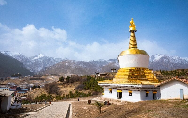 A Lunar Snake Year Commemorative Raw Puer Dayi 2025s Fresh Awakening