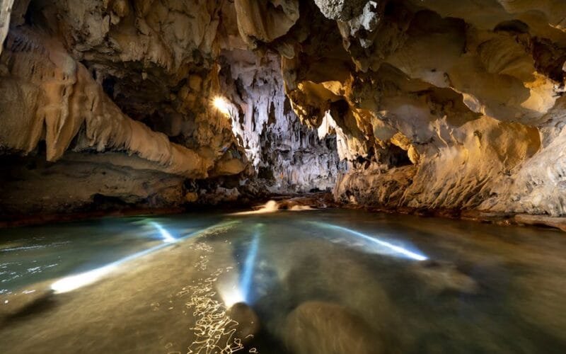 How to Build a Wine Cellar That Doesnt Feel Like a Warehouse