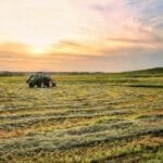 The Libra vs AGS Grinders Decoding Flavor Differences