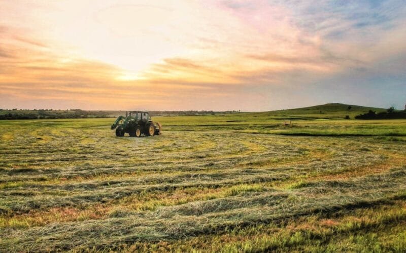 The Libra vs AGS Grinders Decoding Flavor Differences