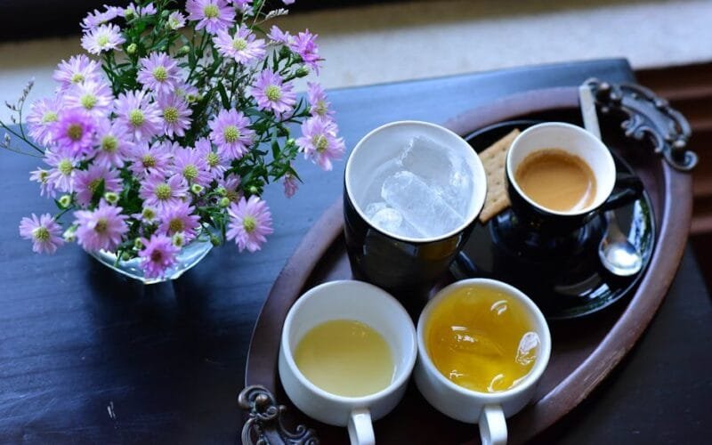 Wood Spirit Ripe Puer A Warm Comfort in Every Sip