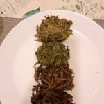 Four White Teas That Defied Expectations