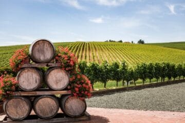 Polish Wine’s Quiet Renaissance Is Here to Stay