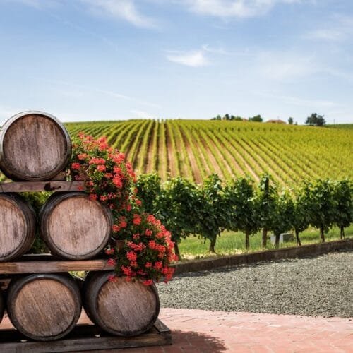 Polish Wine’s Quiet Renaissance Is Here to Stay