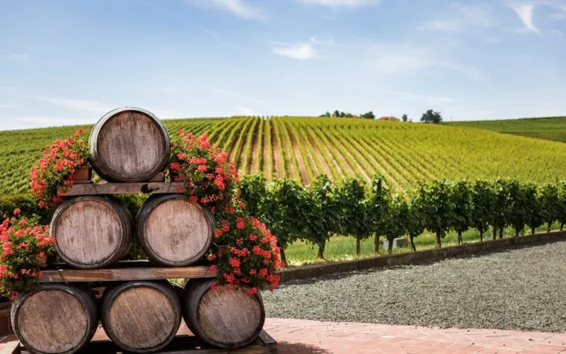 Polish Wine’s Quiet Renaissance Is Here to Stay