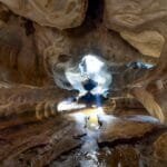 How to Build a Wine Cellar A Beginners Blueprint for a Cohesive Collection