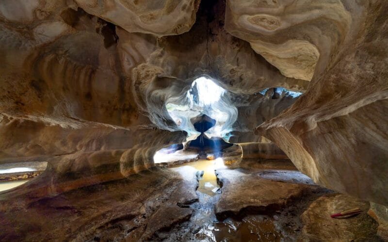 How to Build a Wine Cellar A Beginners Blueprint for a Cohesive Collection