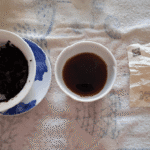 A First Encounter with Puers Earthy Charisma