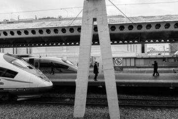 CafeClima Platform Empowers Climate-Smart Coffee Replanting