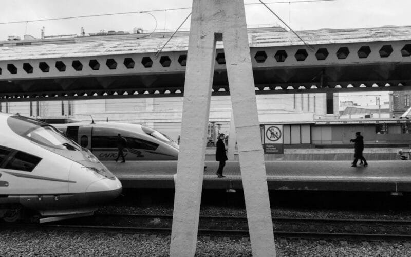 CafeClima Platform Empowers Climate-Smart Coffee Replanting