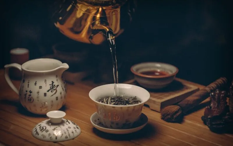 The Puer Tea Newbies Burning Questions