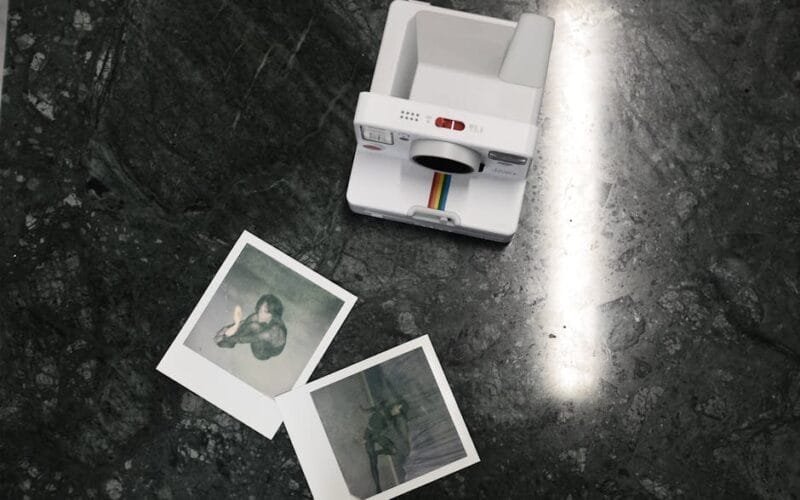 The Art of Choosing Pu Erh A Connoisseurs Guide