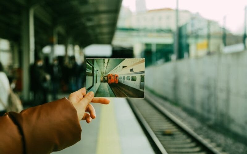 The Puer Tea Divide From Subculture Obsession to Zen Rituals