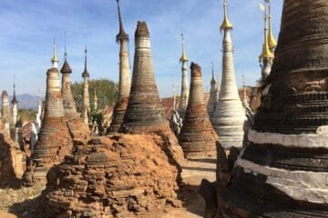 A Ripe Puerh That Defies Time: The 2006 DA XUE SHAN Lincang