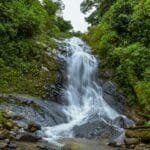 A Direct Line to Costa Ricas Finest Coffee