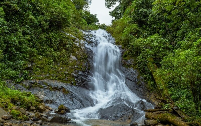 A Direct Line to Costa Rica’s Finest Coffee