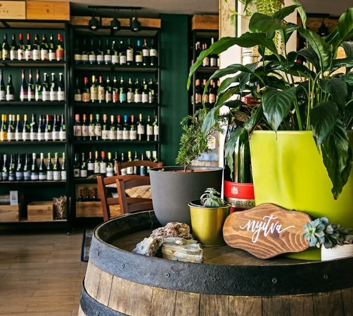 Vermouth’s Secret: Wine or Something Else?