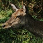 Gen Zs Coffee Obsession Its Not About the Bean Its About the Experience