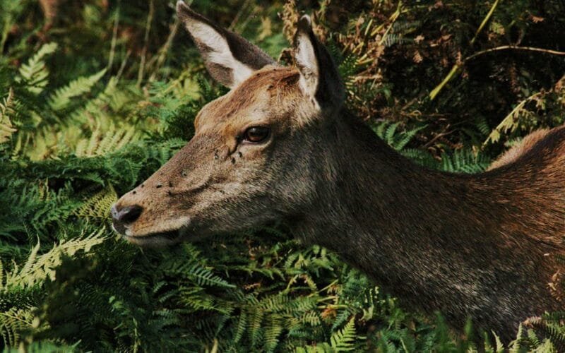 Gen Zs Coffee Obsession Its Not About the Bean Its About the Experience