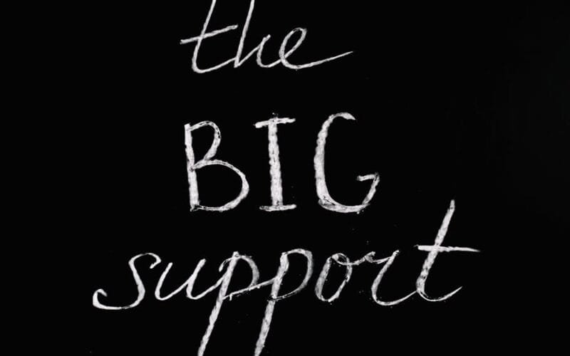 Decoding Raw Puer A Curated Guide to Rare and Authentic Teas