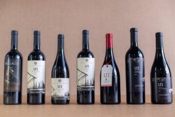 Pinot Blanc: The Winter White That Outshines Chardonnay