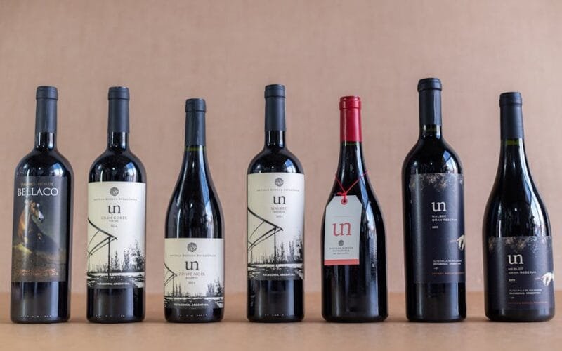 Pinot Blanc: The Winter White That Outshines Chardonnay