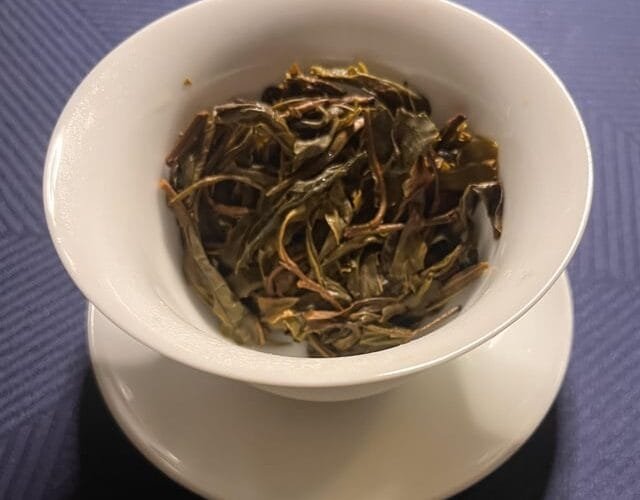 The No Mans Land of Yiwu A Puerh Revelation