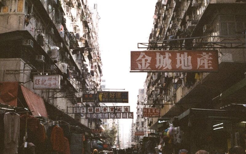 Aged Elegance The 1995 Heng He Zhou Sheng Pu-Erh That Time Travelers Dream Of