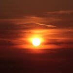 The Red Sun Brick A Legacy of Menghai Ancient Tree Tea