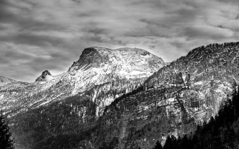 A Burgenland Blaufränkisch That Defies Expectations